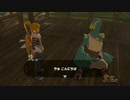 ゼルダの伝説　ブレス オブ ザ ワイルド　実況プレイPart188