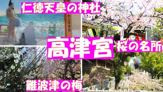 大阪上町台地の桜の名所　高津宮　仁徳天皇ゆかりの由緒ある神社に梅と桜を見に行きました。