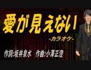 【ニコカラ】愛が見えない【off vocal】