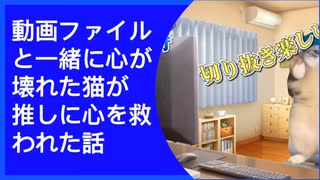 動画ファイルと一緒に心が壊れた猫がVtuberに心を救われた話