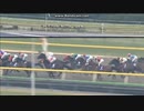 2011 フェブラリーS　トランセンド