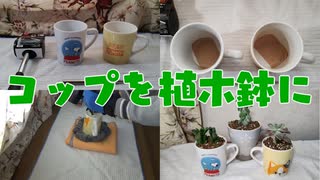 使わなくなったコップの再利用　植木鉢にします