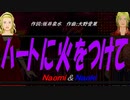 【Naomi＆Naoki】ハートに火をつけて【カバー曲】