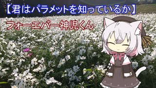 【君はパラメットを知っているか】フォーエバー神児くん