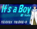 【KAITO】Ｉｔ'ｓ ａ Ｂｏｙ【カバー曲】