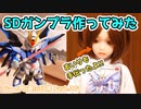 【ドールと遊ぶ日常】ドールと一緒にSDライジングフリーダム作って部分塗装してみた！！【ラブドール】【ガンプラ】【等身大ドール】