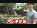 ゲイの知性