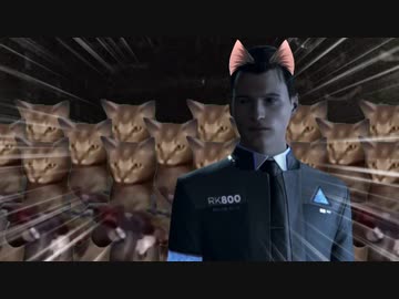 猫ミーム実験動画