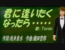【TONIO】君に逢いたくなったら......【カバー曲】