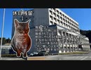 猫ミームで自衛隊での休日の過ごし方（主にハプニング編）