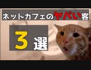 【猫ミーム】ネットカフェのヤバい客 3選【猫マニ】