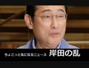 ちょこっと気になるニュース　岸田の乱