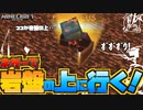 古の技、ネザー岩盤抜けを試す初心者【マイクラ】金閣寺#11