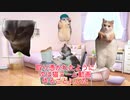 #猫ミーム に取り憑かれた女子の末路
