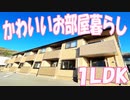 かわいいお部屋 １LDK賃貸アパート メゾフォルテ京山 岡山市北区京山