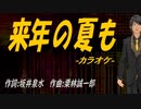 【ニコカラ】来年の夏も【off vocal】