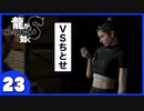 【龍が如く８】みんなでわくわくハワイを楽しむぞ！【２３】※ネタバレあり