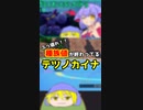 【ポケモンSV/切り抜き】数値が終わってるテツノカイナ【Vtuber/LAN堂】