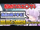 ハミダシクリエイティブをプレイして妹萌えに拍車が掛り限界化するおかゆ