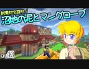 【Minecraft】ゆっくりはりきるサバイバル　その４３　新素材を探せ！沼地の泥とマングローブ【ゆっくり実況】