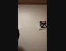 【今日の激励！】さぁ、金曜日だよー！【3激動画1498本目】