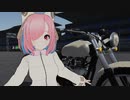 VR機器なんてねぇんだよ！(慟哭)　タモシキ滞在の裏技.VRC2