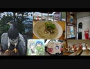 ゆるっと冬の山陰巡り。
