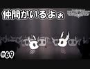 道中のボスなんてチョチョイのチョイですよ（騎士の神殿）　[Hollow Knight]