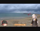 色々足りないうｐ主のゆっくり旅行記　沖縄編  第６話