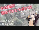 近所の鳥さん紹介日記＃2