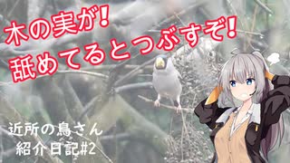 近所の鳥さん紹介日記＃2