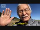 柴崎バグ通
