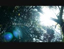 真夏のユークロニア / 初音ミク cover