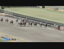 2024年2月17日　東京2R　3歳1勝クラス　ジョージテソーロ