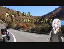 あかりさん、ツーリング日和ですよ！？　ー国道352号線・紅葉の枝折峠と本気丼ー