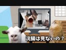 【友人編】ホモビデオ制作会社アルバイトの日常 #猫ミーム #猫マニ
