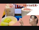 スタバの新作桜商品で、一足早いお花見を!!