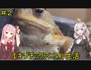 【#2】紲星あかりとエキゾチックアニマル生活【ミヤコヒキガエル導入編】