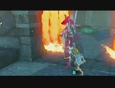 【ティアキン】自由すぎる遊びを楽しむリンクさんの冒険　５３話【ドリカラ】【ボイスピ実況,ゼルダの伝説,ティアーズオブザキングダム,TotK】
