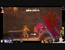 ⌘プレイアーカイブ⌘ ハイラルソード 2nd LAP その30-ガノン直行ルート-