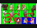 カオスバトル36.5 ～猫ミーム大戦～