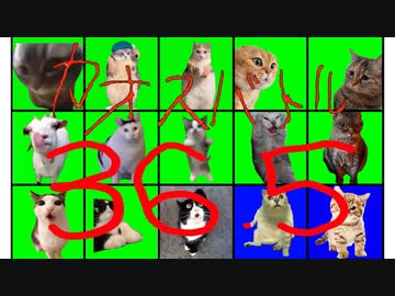 カオスバトル36.5 ～猫ミーム大戦～