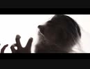 From Fall To Spring - CAST AWAY (OFFICIAL VIDEO)