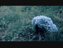 花束 歌ってみた【いとうちゃん】