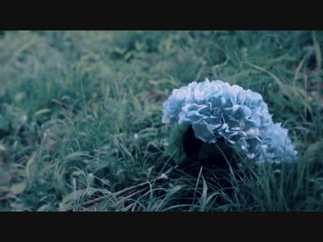 花束 歌ってみた【いとうちゃん】
