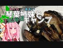 琴葉姉妹と北海道キャンプ#4 -自転車の洗礼を受けた「北広島かえるキャンプ場」-
