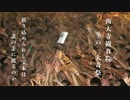 【VOICEVOX解説】裸の男たちがいい香りの棒♂を奪い合う岡山の奇祭「西大寺会陽」