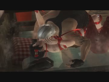DOA5 投げられる 紅葉 リョナ
