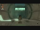 【ゼル伝TotK】おててと旅するリンクさん　パート１３【もちまる】