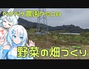 2024年2月17日　農作業日誌P908　出稼ぎ先でも地面を耕している